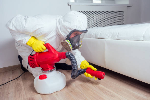 Best Pest Prevention Services  in New Braunfels, TX